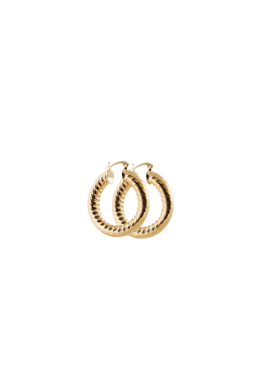 Medium Gold Hoop Earrings
